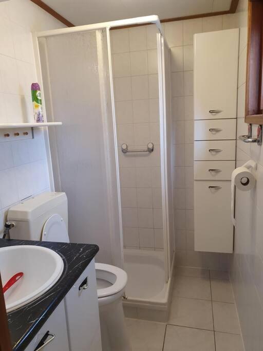 פוטן Cozy Chalet For 4 Veluwe מראה חיצוני תמונה